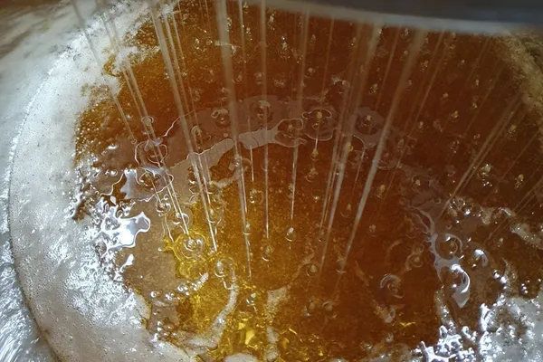 Découvrez le monde de l'apiculture avec Sylvia - Image n°4 - Wecandoo