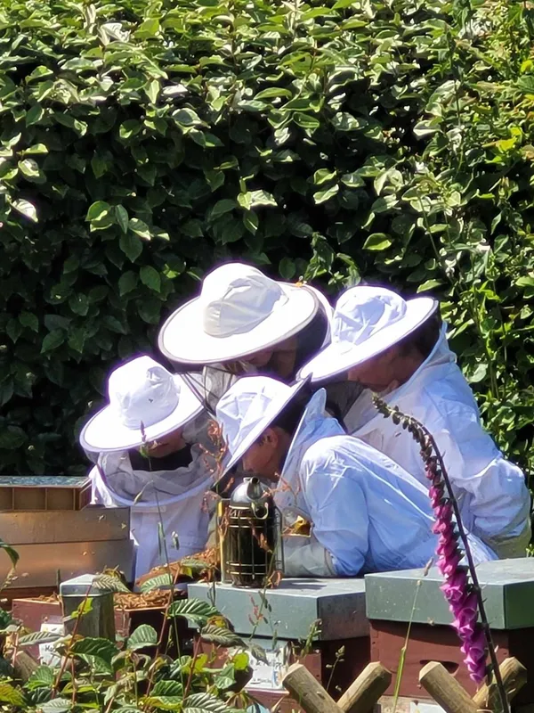 Découvrez le monde de l'apiculture avec Sylvia - Image n°2 - Wecandoo