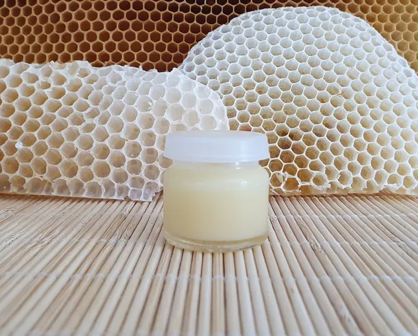 Découvrez le monde de l'apiculture avec Sylvia - Image n°5 - Wecandoo