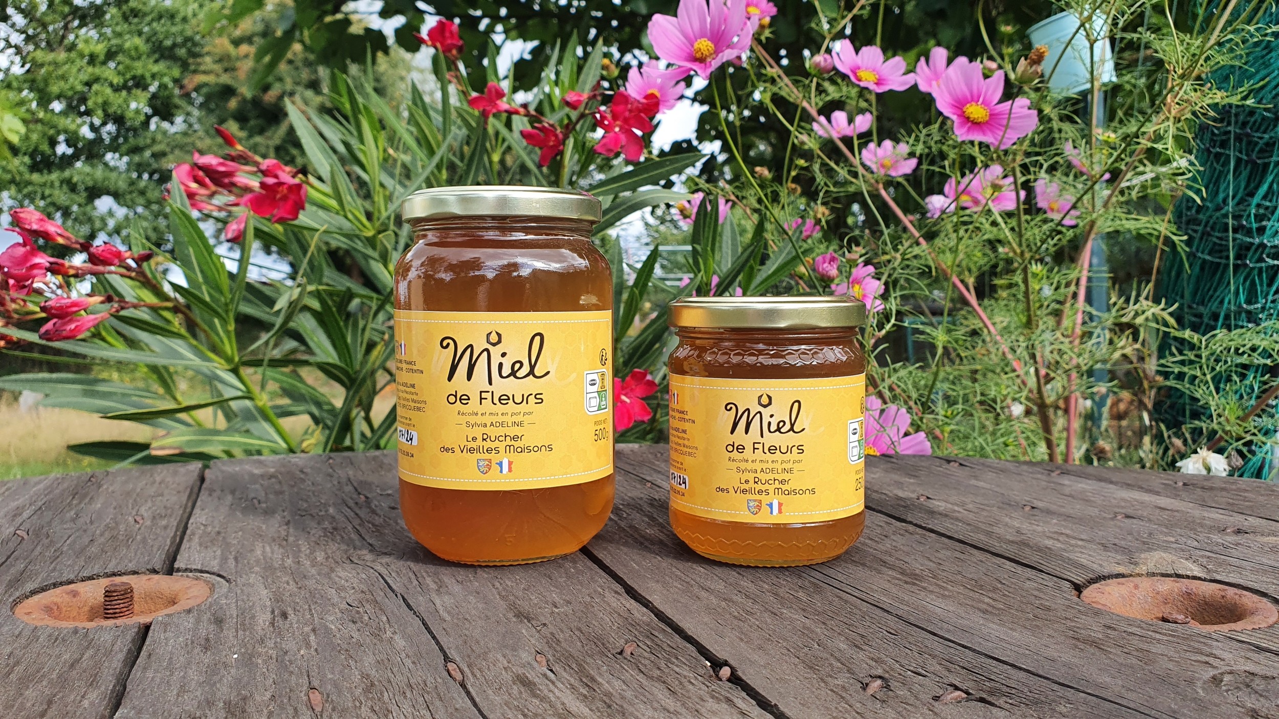 Découvrez le monde de l'apiculture