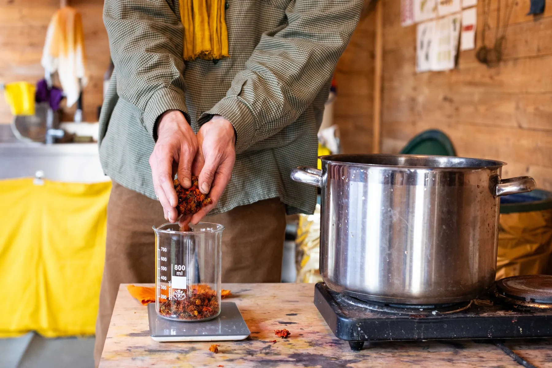 Initiez-vous à la couleur naturelle sur fibre cellulosique ou protéique avec Gabriel - Image n°2 - Wecandoo