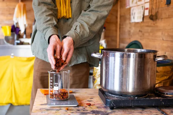 Initiez-vous à la couleur naturelle sur fibre cellulosique ou protéique avec Gabriel - Image n°2 - Wecandoo