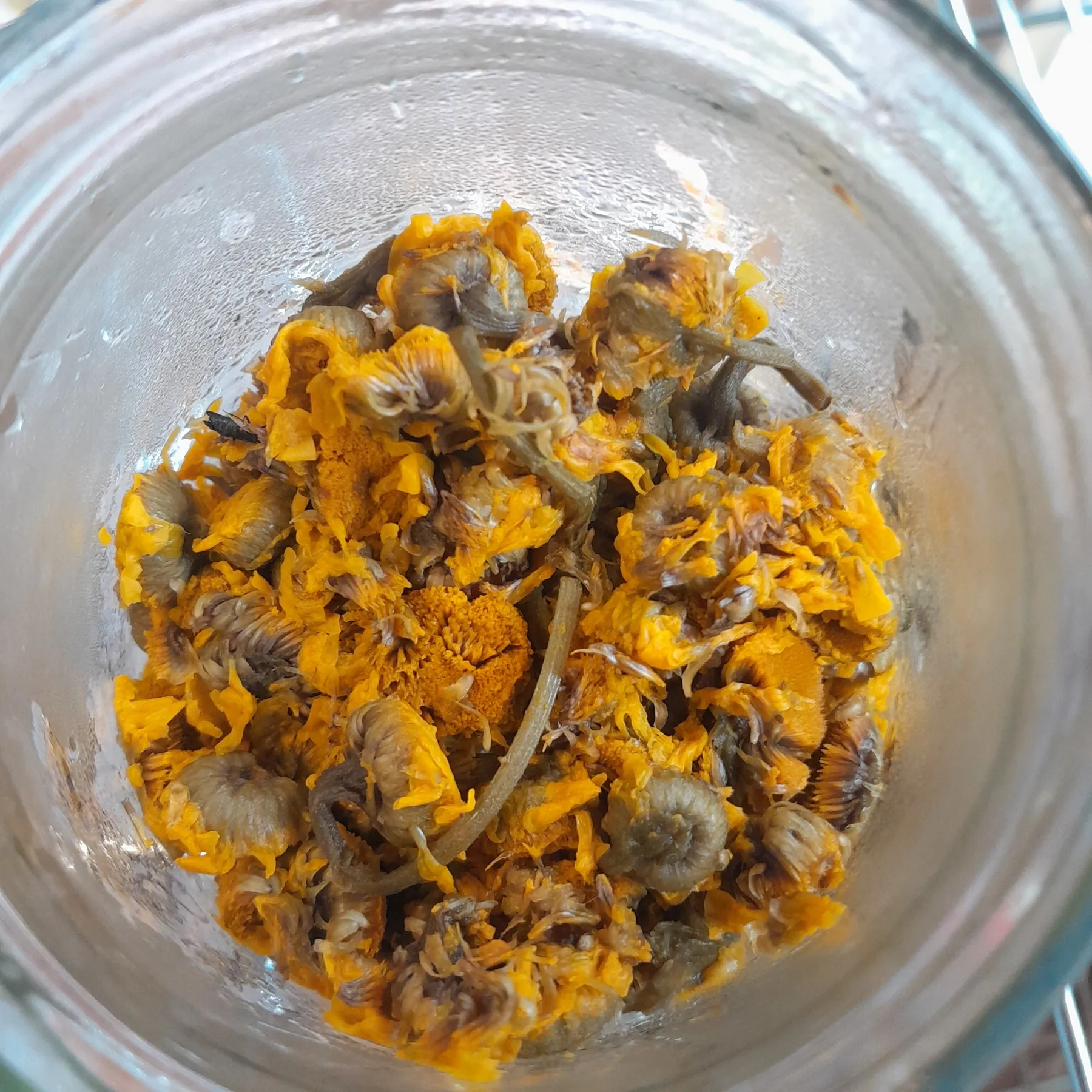 Créez vos encres végétales avec Gabriel - Afbeelding nr. 2 - Wecandoo