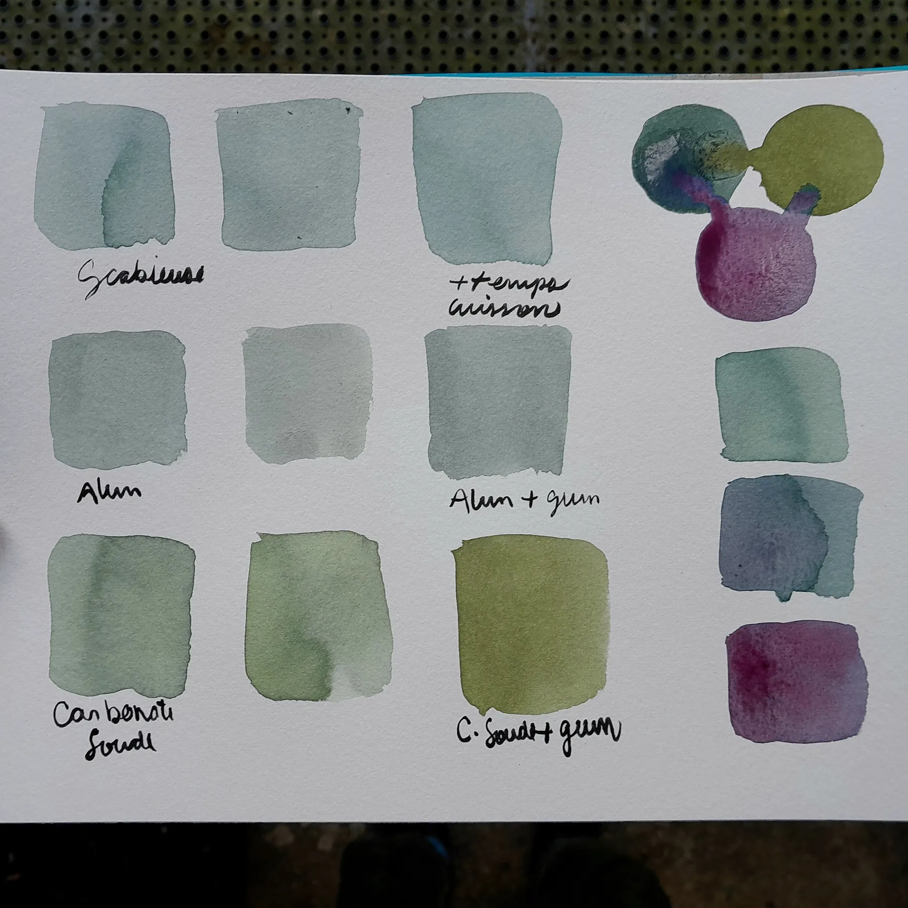 Créez vos encres végétales avec Gabriel - Afbeelding nr. 5 - Wecandoo