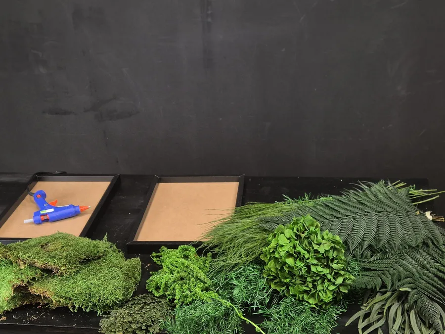 Réalisez votre tableau végétal avec Lénaïc et Emmanuelle - Afbeelding nr. 1 - Wecandoo