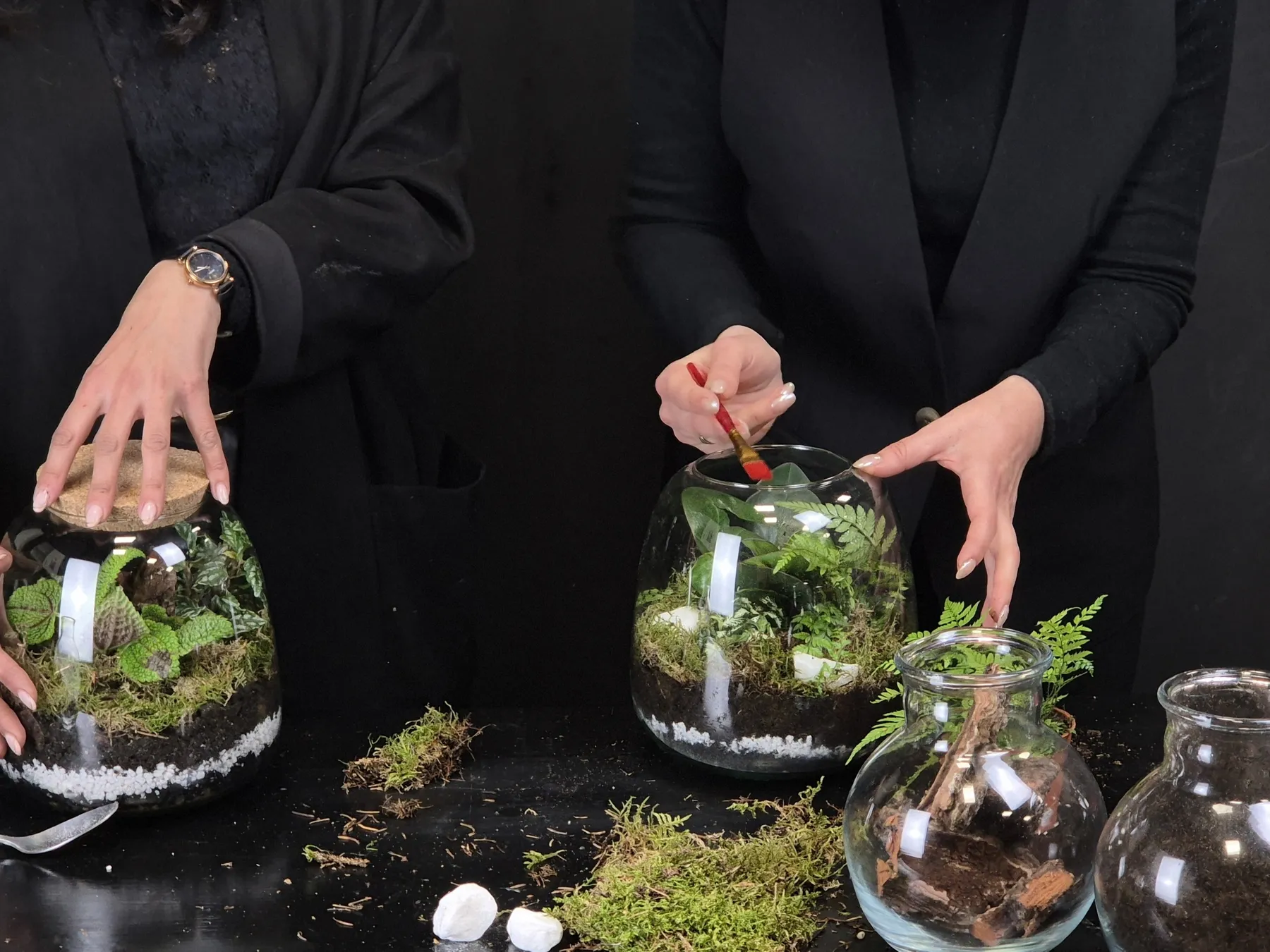 Réalisez votre terrarium avec Lénaïc et Emmanuelle - Image n°5 - Wecandoo