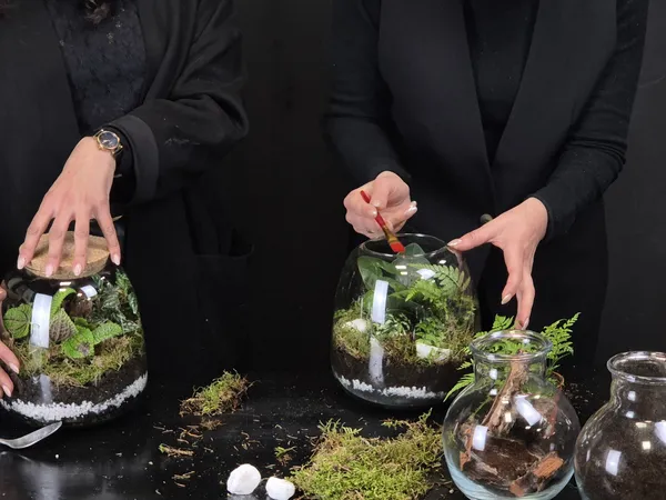 Réalisez votre terrarium avec Lénaïc et Emmanuelle - Afbeelding nr. 5 - Wecandoo
