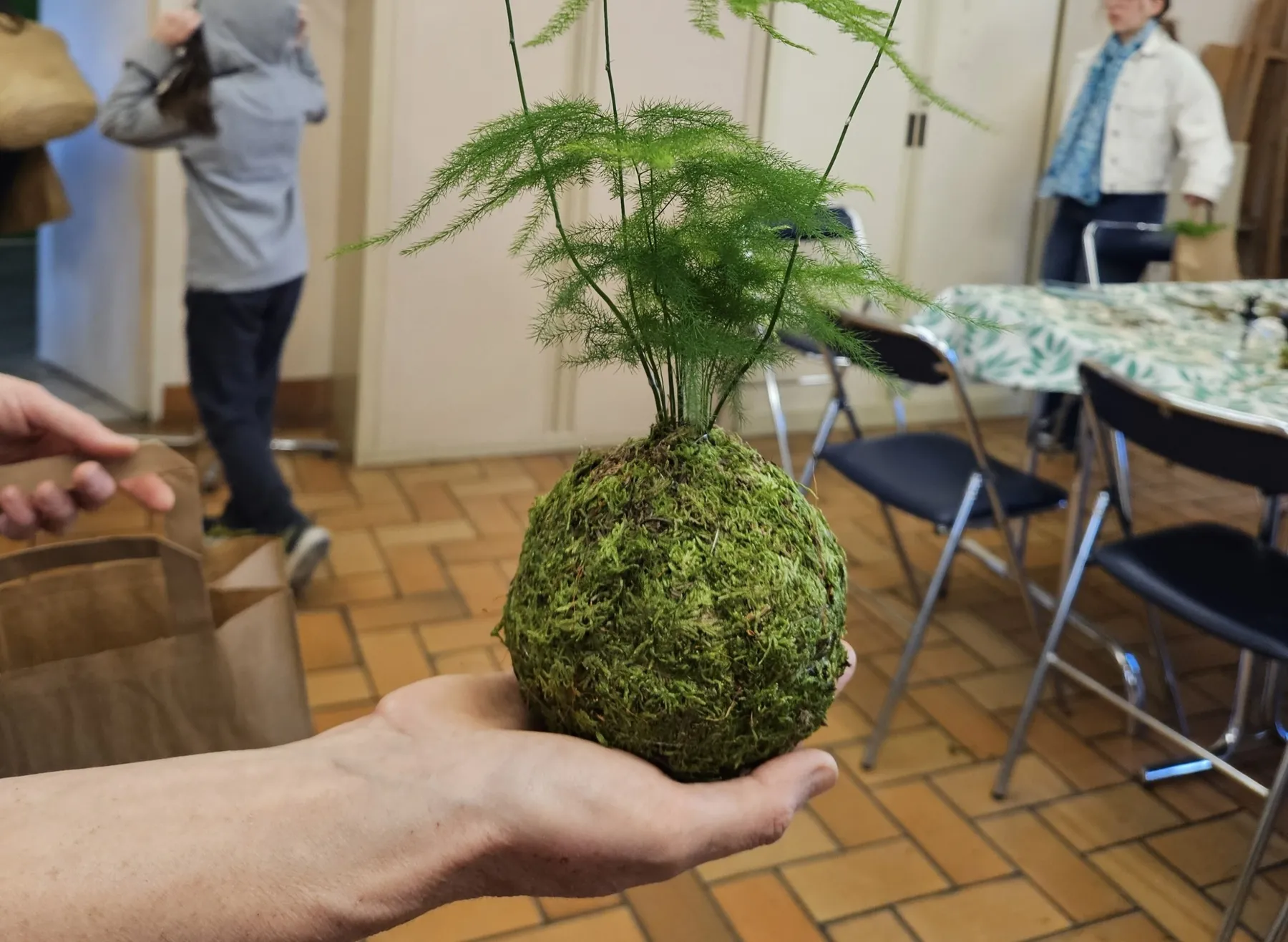 Créez votre kokedama avec Olivia - Image n°1 - Wecandoo