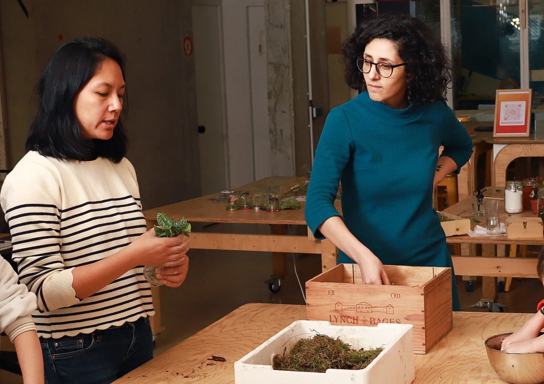 Créez votre kokedama avec Olivia - Image n°4 - Wecandoo