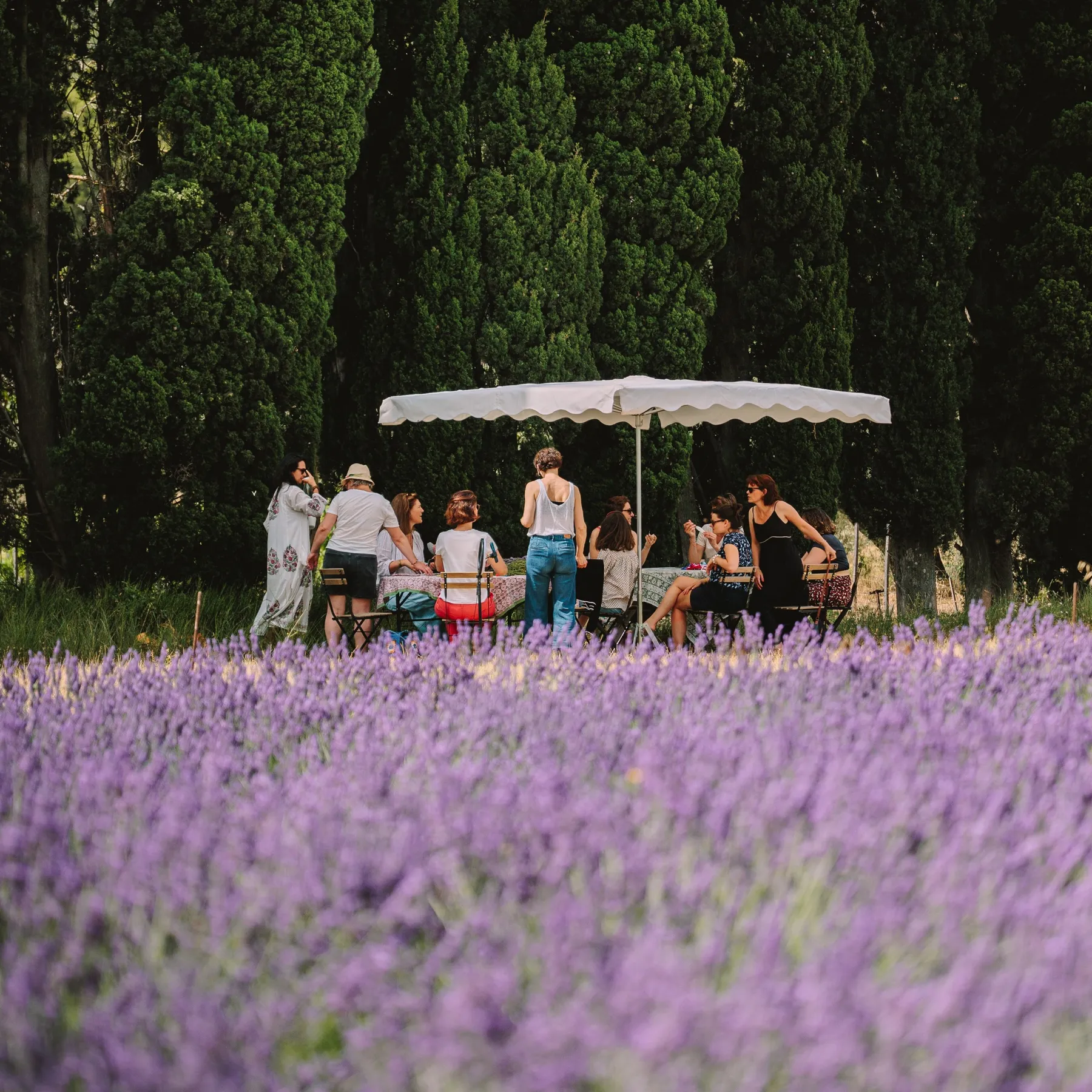 Réalisez votre fuseau de lavande au coeur d'un champ de lavande - Image n°3 - Wecandoo