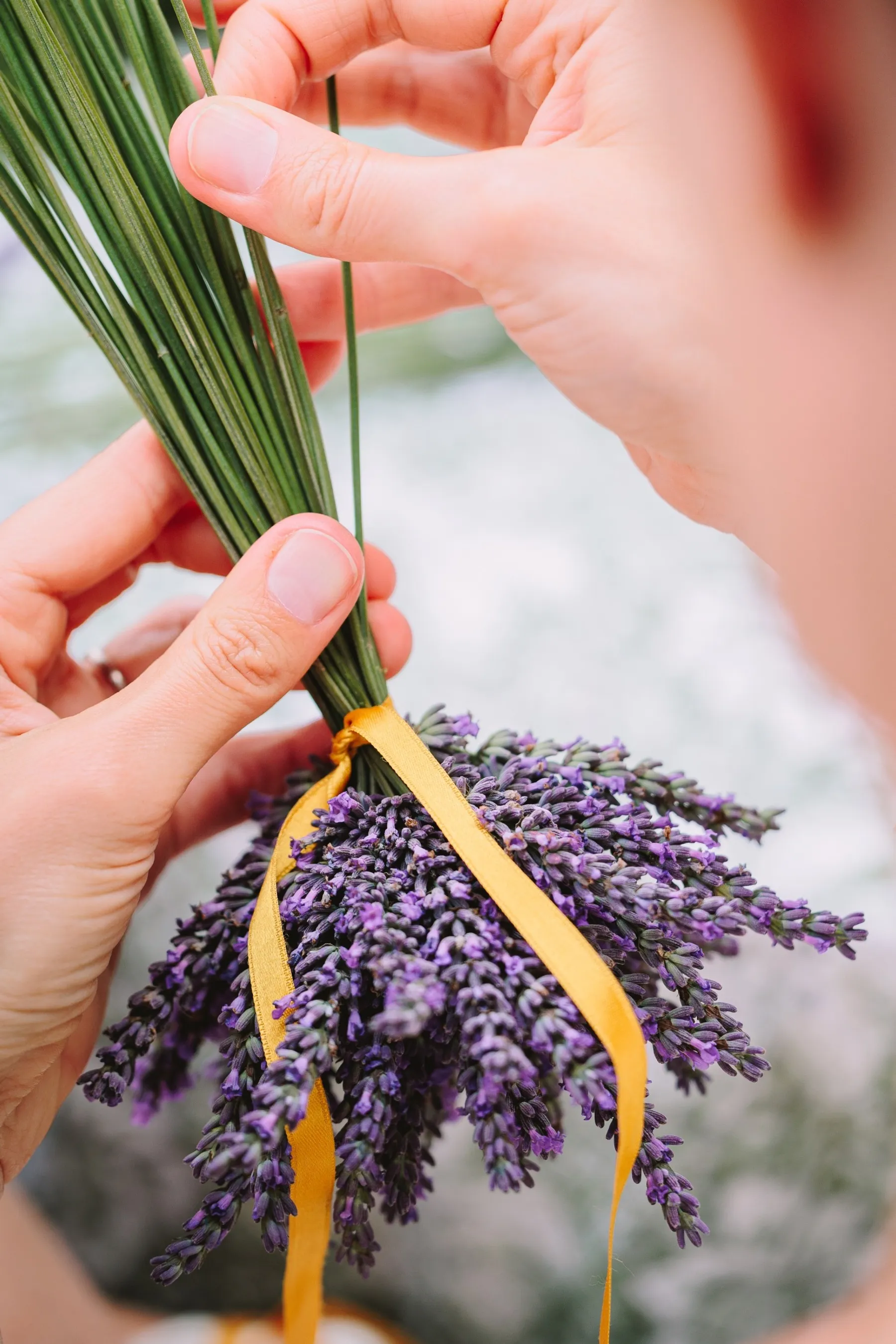 Réalisez votre fuseau de lavande au coeur d'un champ de lavande - Image n°4 - Wecandoo