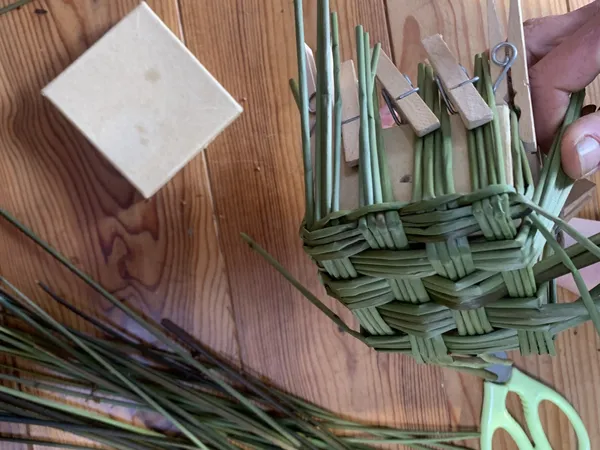 Découvrez la vannerie sauvage avec Jennifer - Image n°3 - Wecandoo