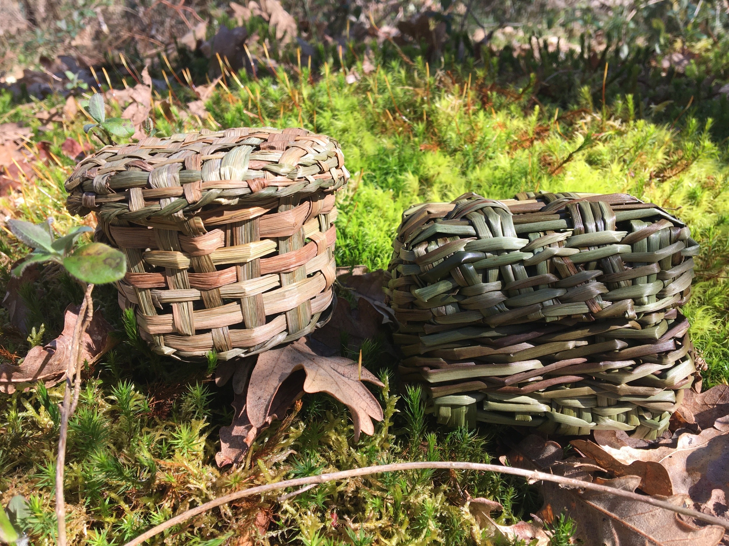 Découvrez la vannerie sauvage