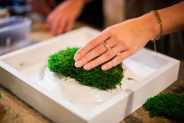 Réalisez votre tableau végétal XL avec Dimitri et Laure - Image n°3 - Wecandoo