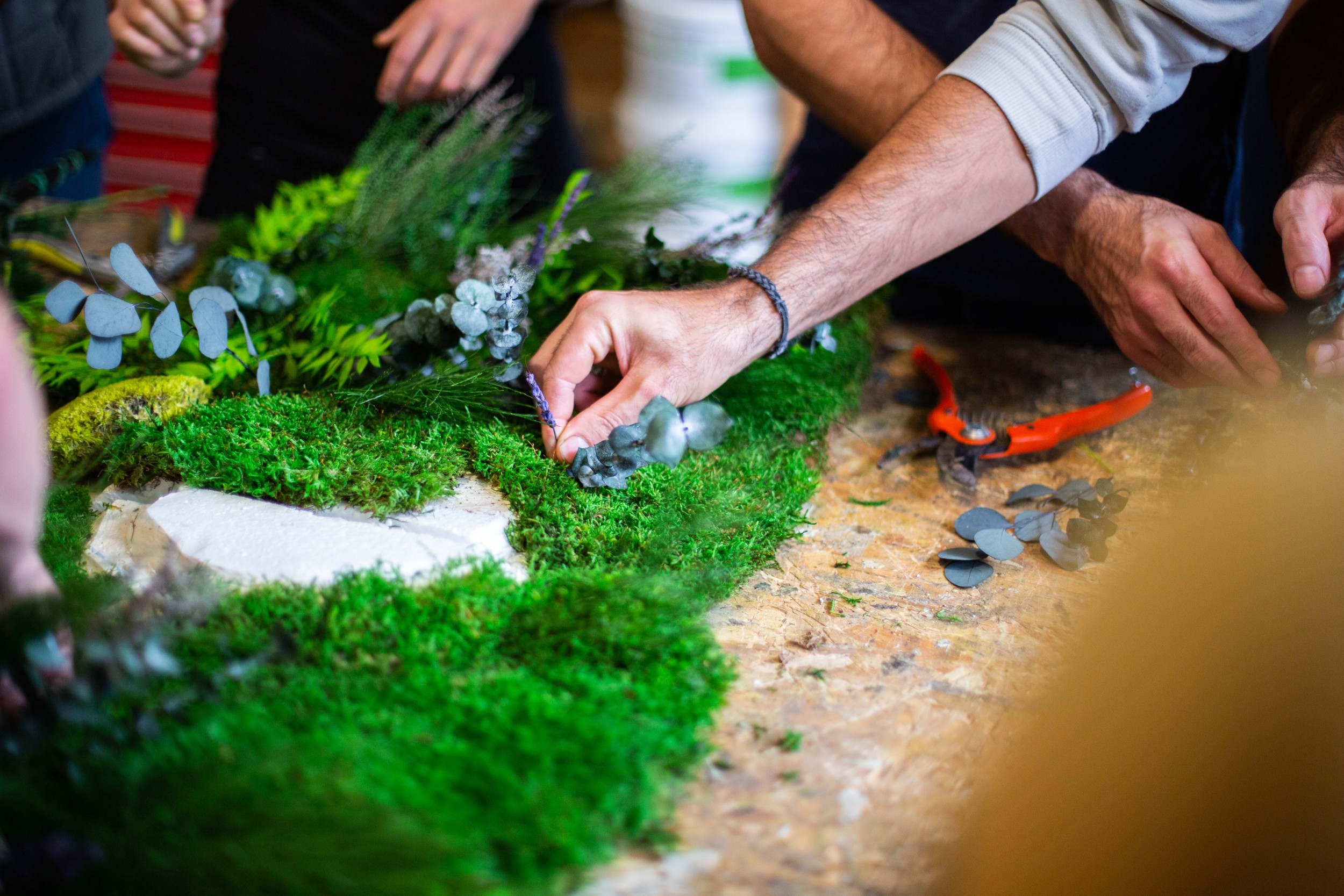 Réalisez votre tableau végétal XL