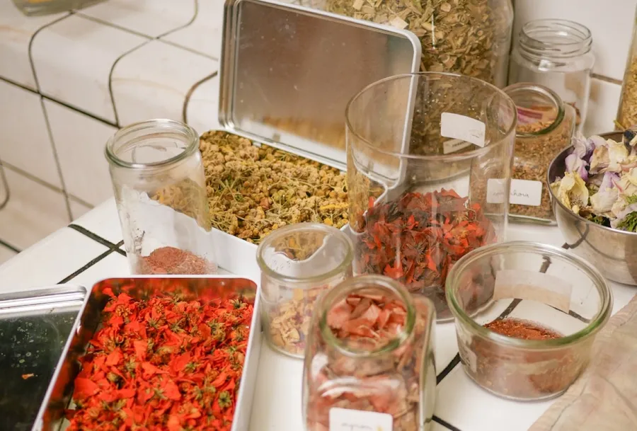 Initiez-vous à l'écoprint avec Aurélia et Agathe - Image n°1 - Wecandoo