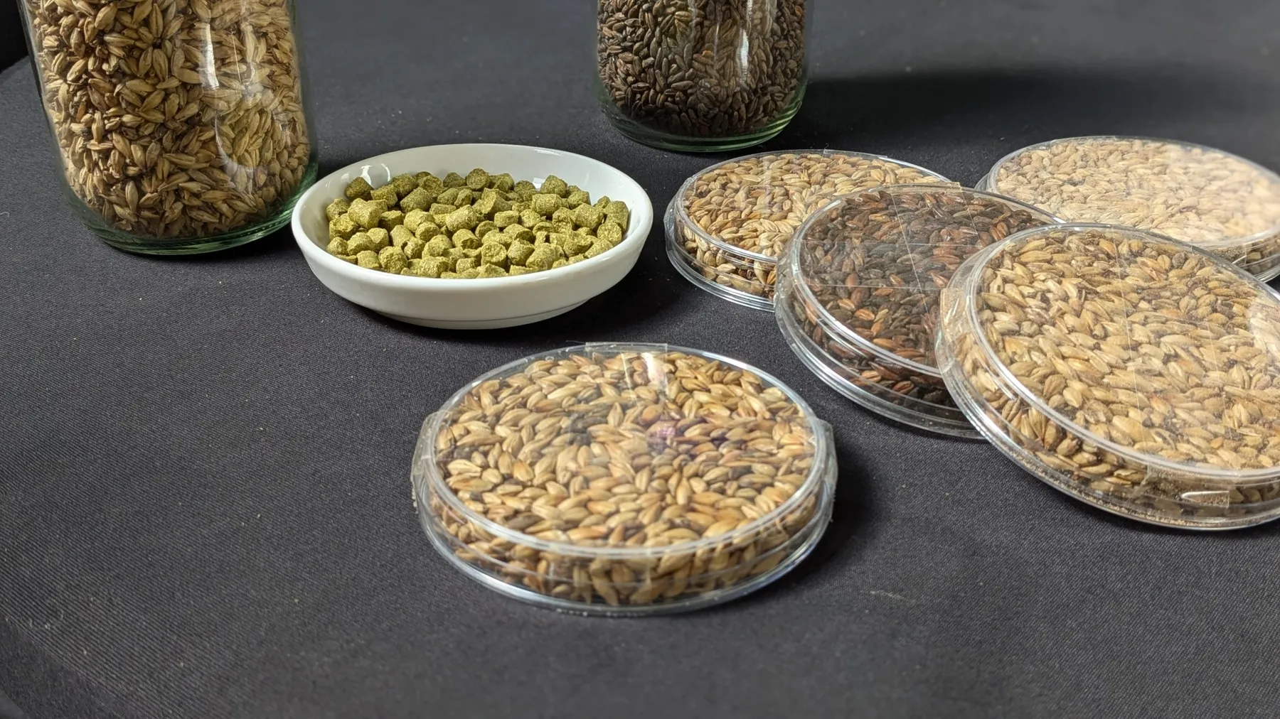 Réunissez votre équipe et visitez une brasserie avec Daniel et son équipe - Image n°2 - Wecandoo