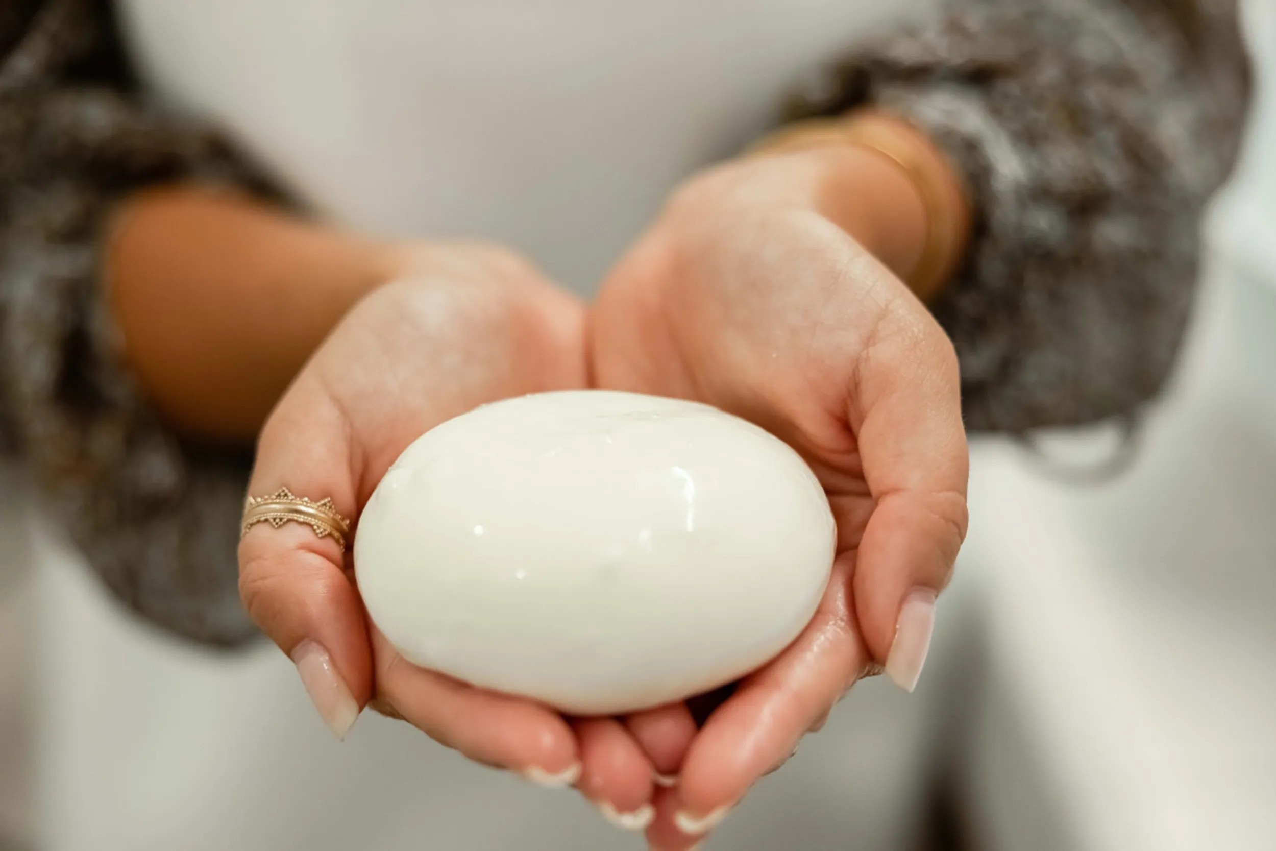 Confectionnez votre mozzarella et votre tresse