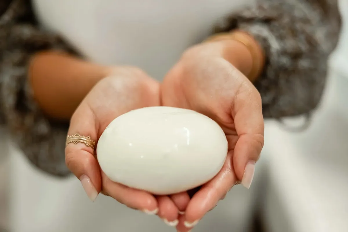 Confectionnez votre mozzarella et votre tresse