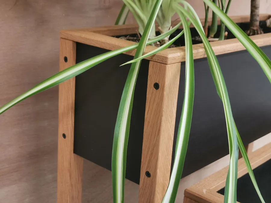 Créez votre petite jardinière d'intérieur avec François - Afbeelding nr. 1 - Wecandoo