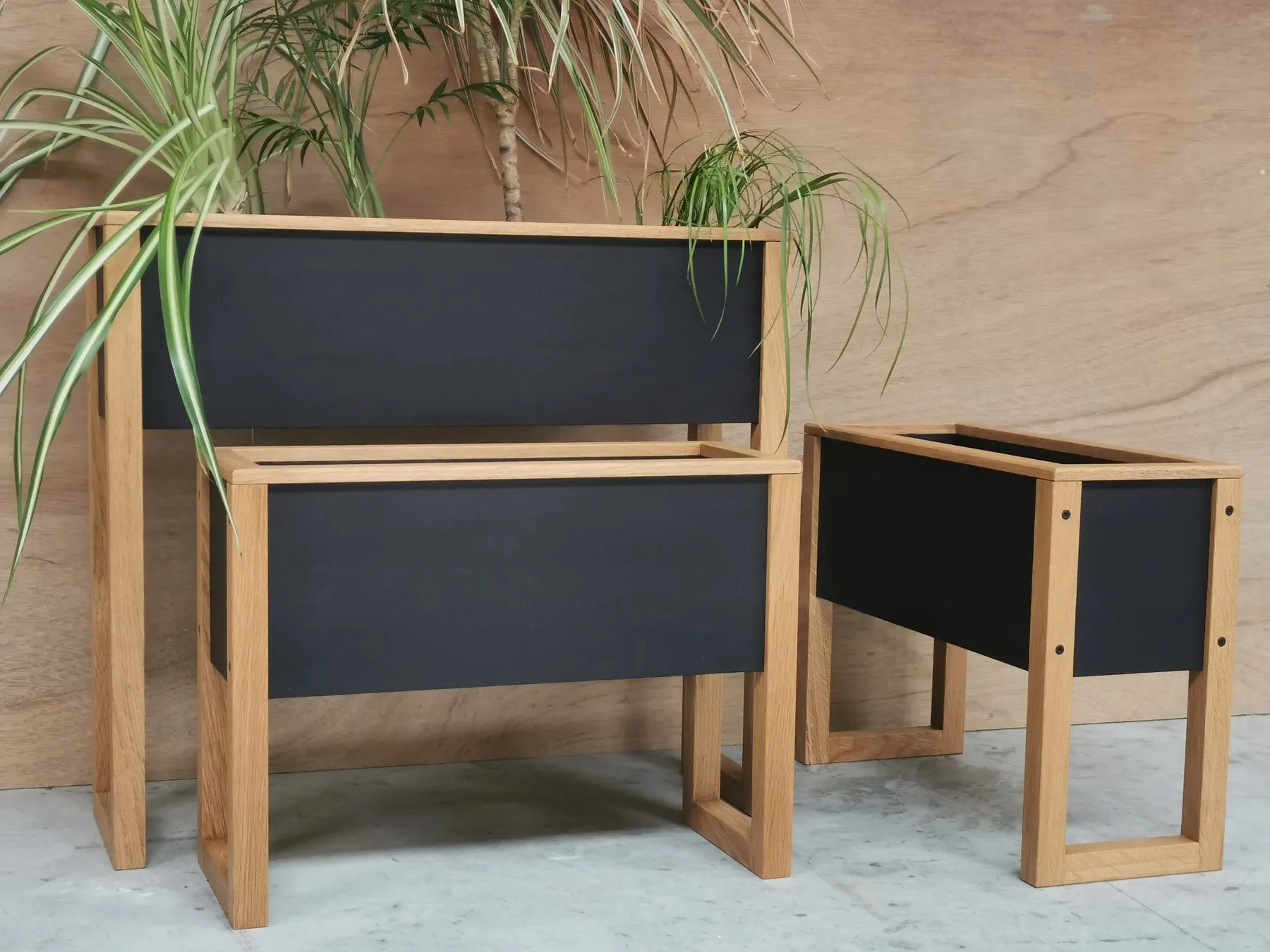 Créez votre petite jardinière d'intérieur avec François - Image n°3 - Wecandoo