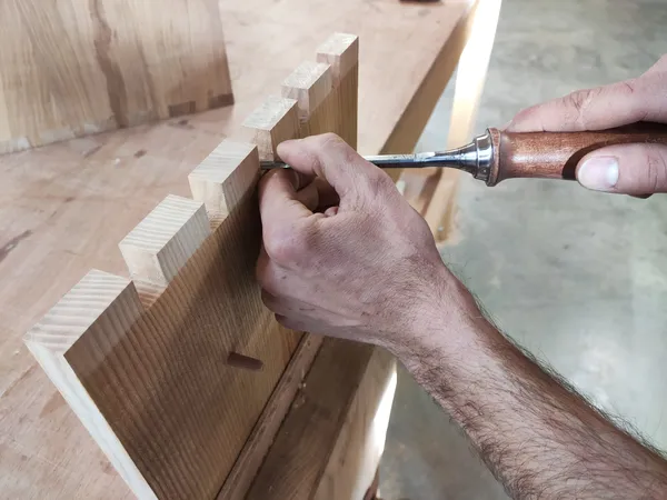 Créez votre petite jardinière d'intérieur avec François - Afbeelding nr. 5 - Wecandoo