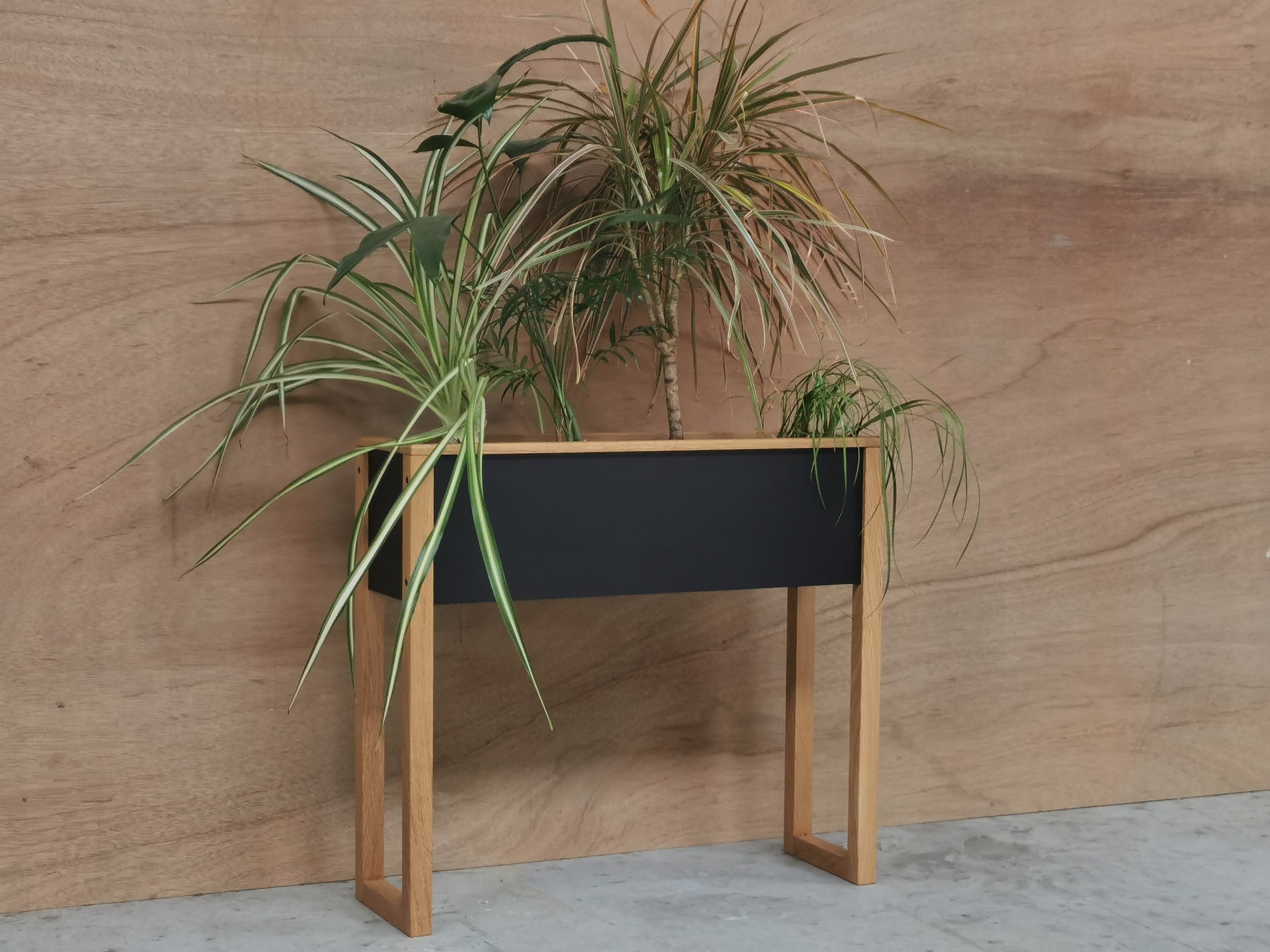 Créez votre petite jardinière d'intérieur à Nantes