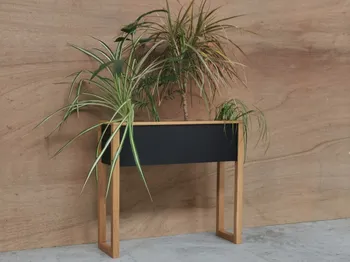 Créez votre petite jardinière d'intérieur