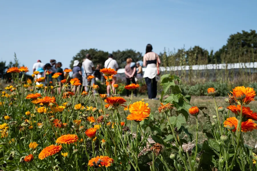 Découvrez une pépinière et réalisez des créations de saison avec Allison - Image n°1 - Wecandoo