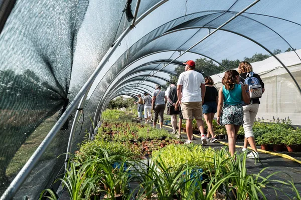 Découvrez une pépinière et réalisez des créations de saison avec Allison - Image n°2 - Wecandoo