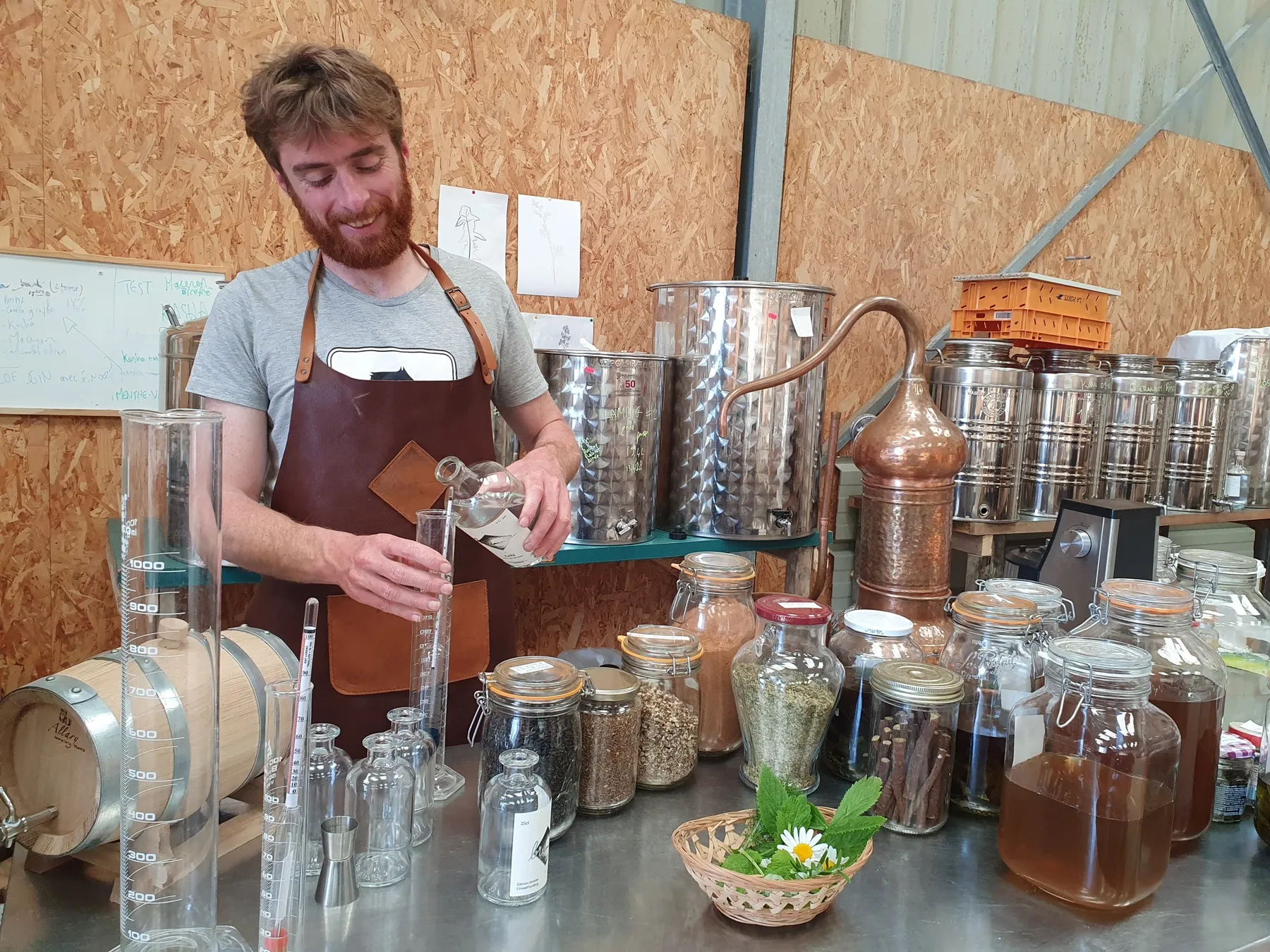 Visitez une distillerie et créez votre pastis bio avec Vincent - Image n°2 - Wecandoo