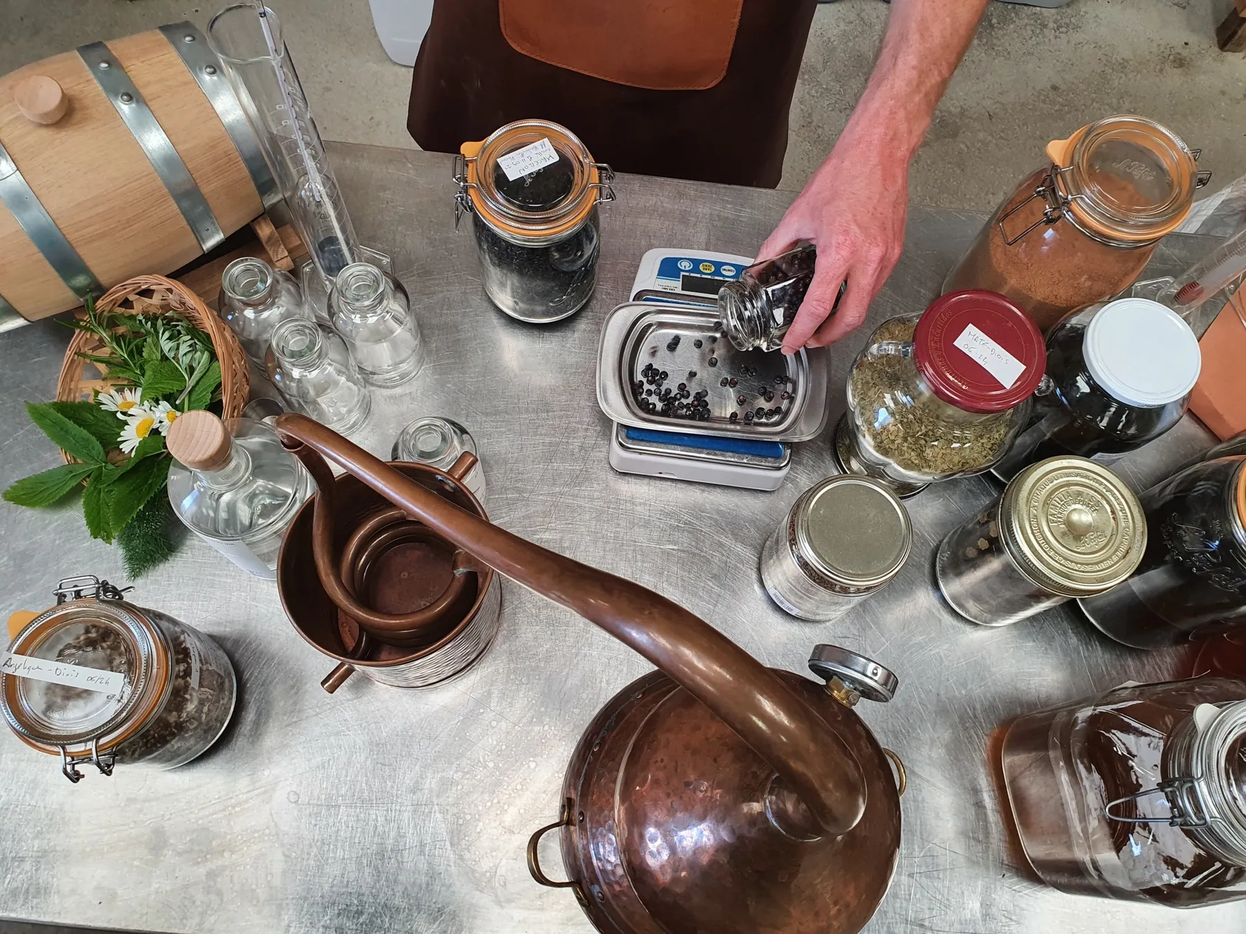 Visitez une distillerie et créez votre pastis bio avec Vincent - Image n°5 - Wecandoo