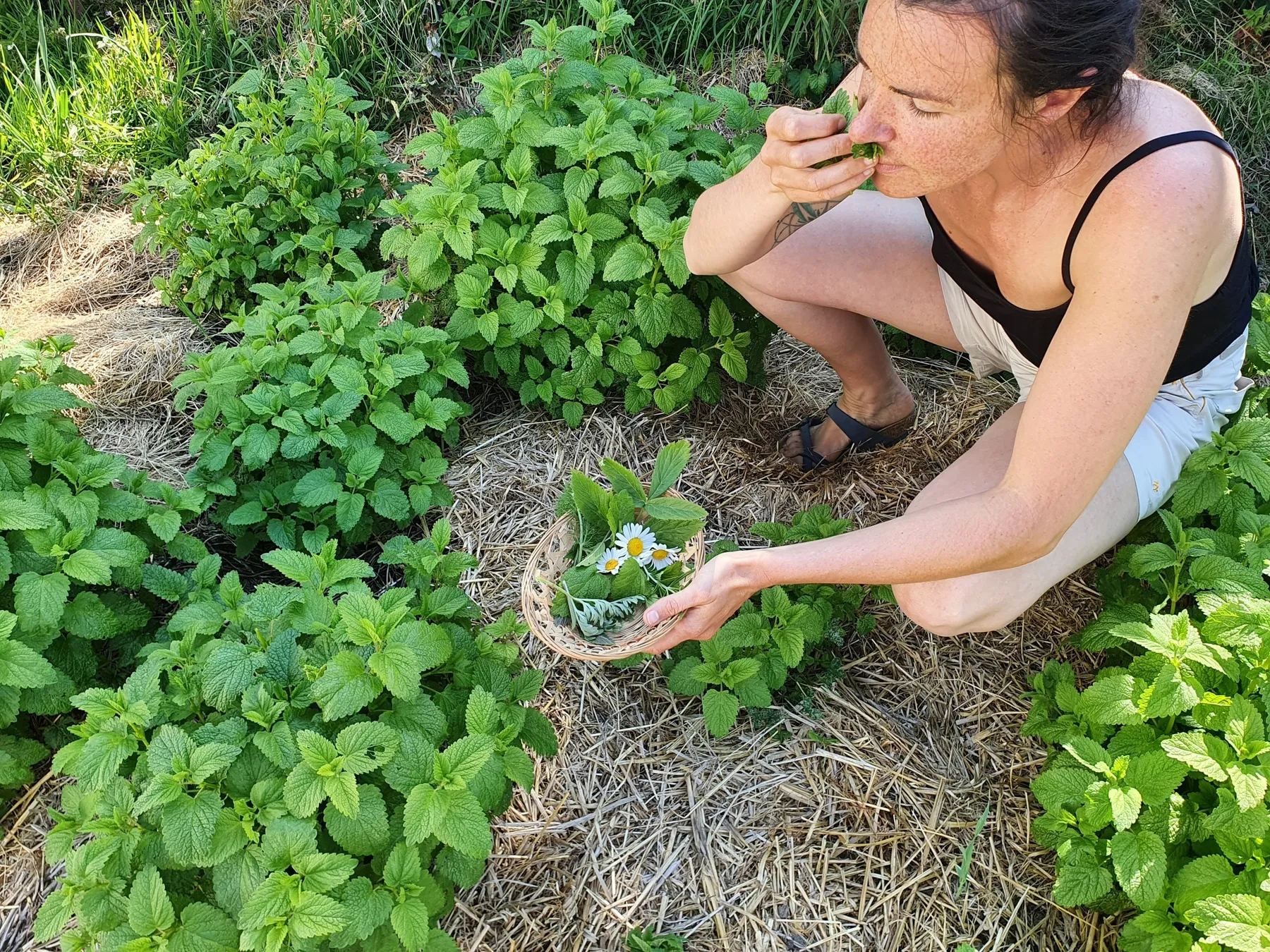 Visitez une distillerie et créez votre pastis bio avec Vincent - Image n°4 - Wecandoo