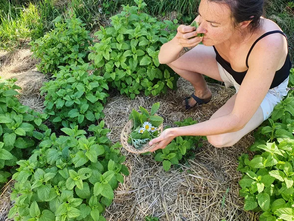 Visitez une distillerie et créez votre pastis bio avec Vincent - Image n°4 - Wecandoo