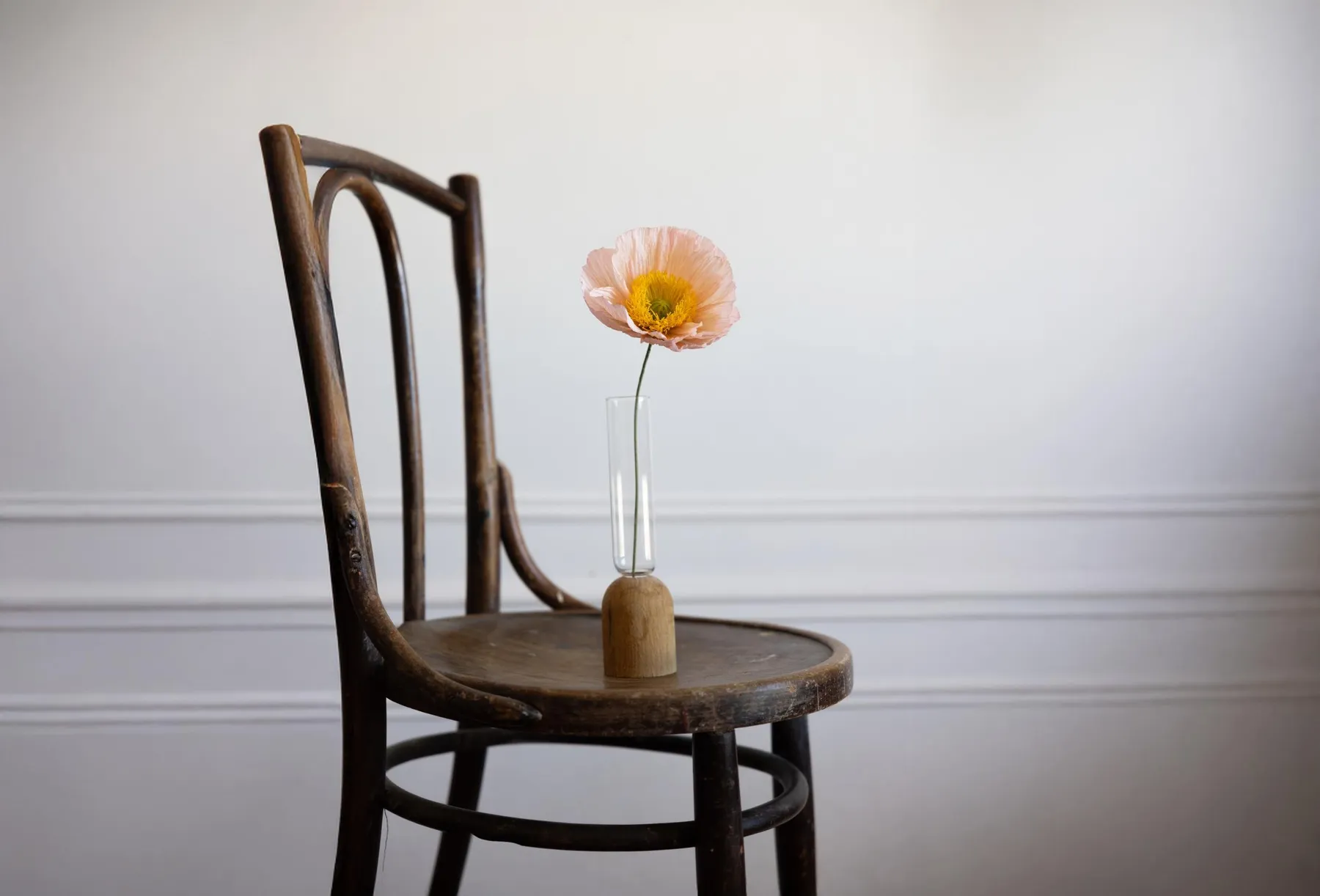 Confectionnez vos fleurs en papier avec Lisa et Julia - Image n°5 - Wecandoo