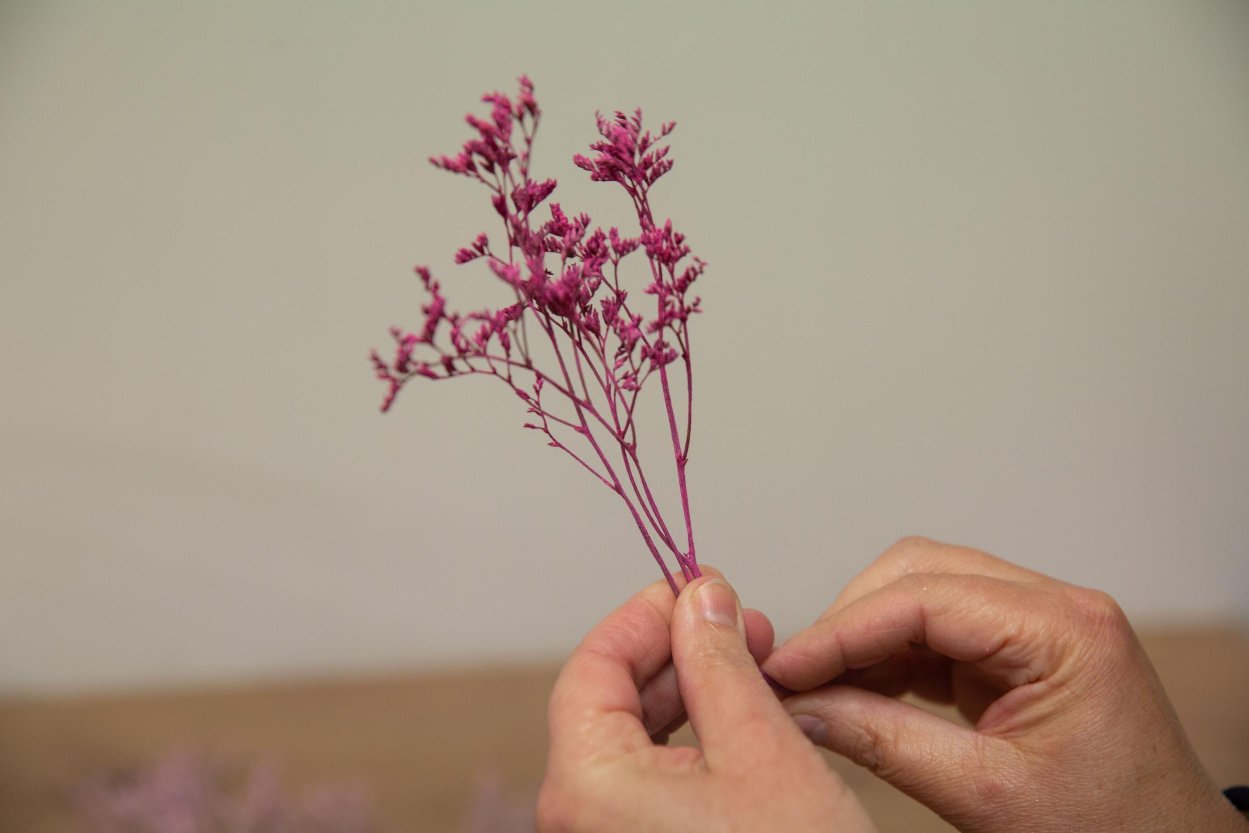 Réalisez votre cloche en fleurs séchées avec Mélanie - Image n°6 - Wecandoo