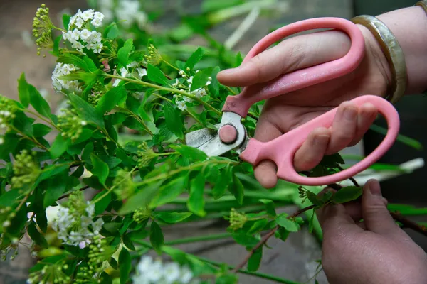 Réalisez votre bouquet de saison avec Mélanie - Image n°2 - Wecandoo