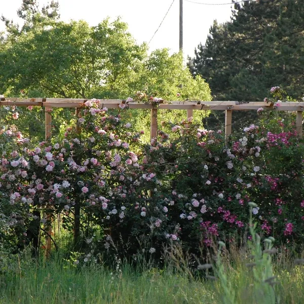 Atelier : 2884 Route De Flassan