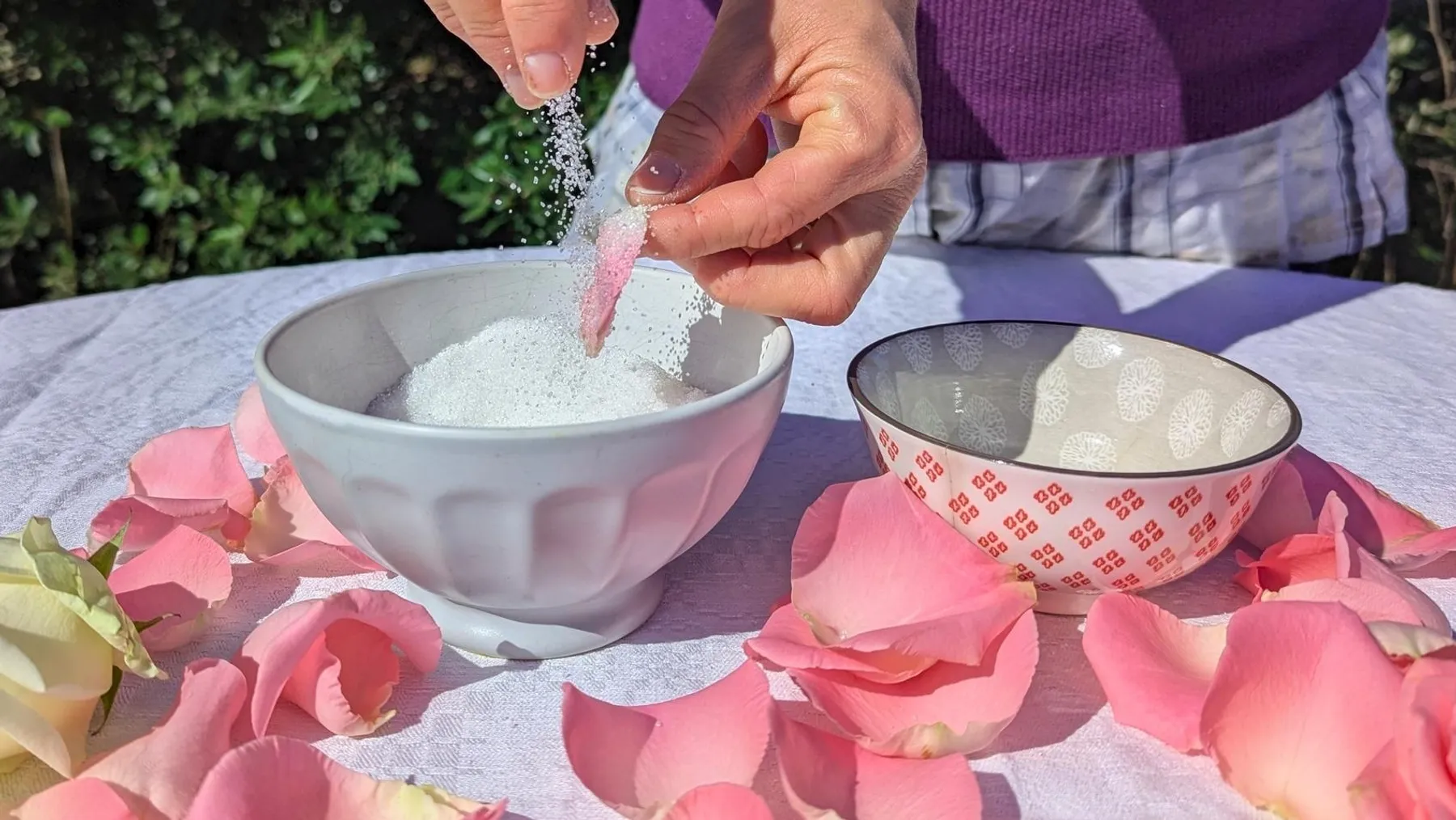 Partez pour une balade au cœur d'une roseraie avec Sylvie - Image n°3 - Wecandoo