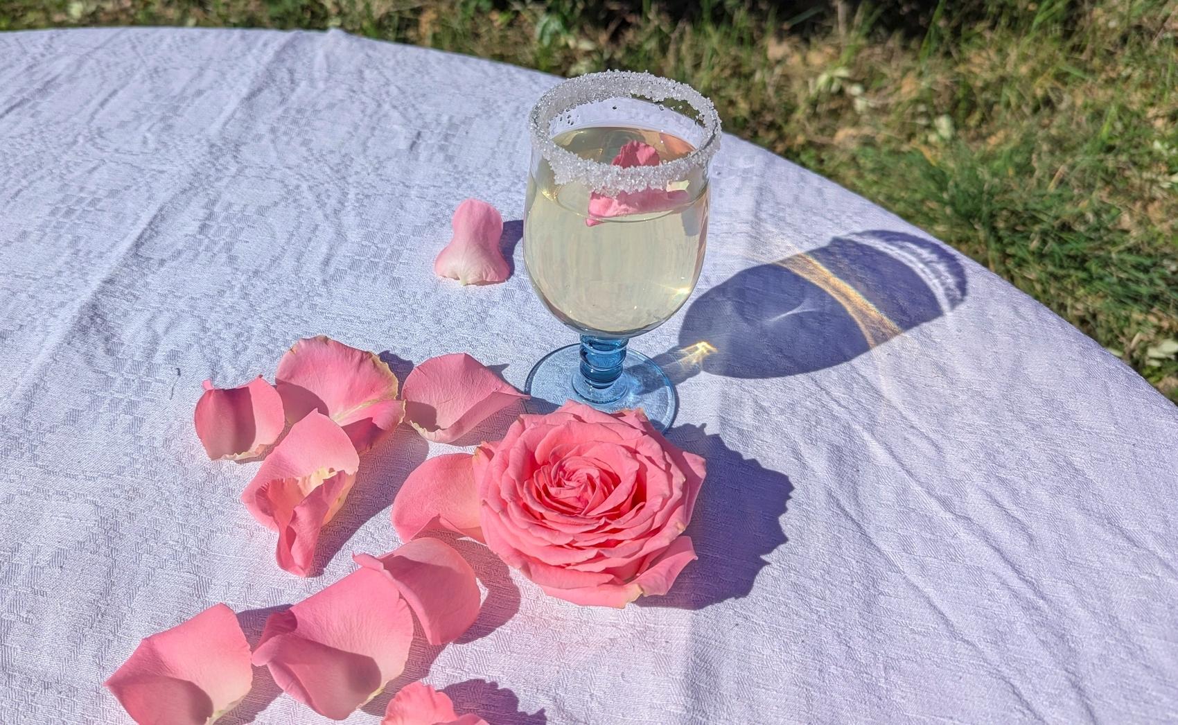 Partez pour une balade au cœur d'une roseraie