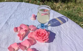 Partez pour une balade au cœur d'une roseraie