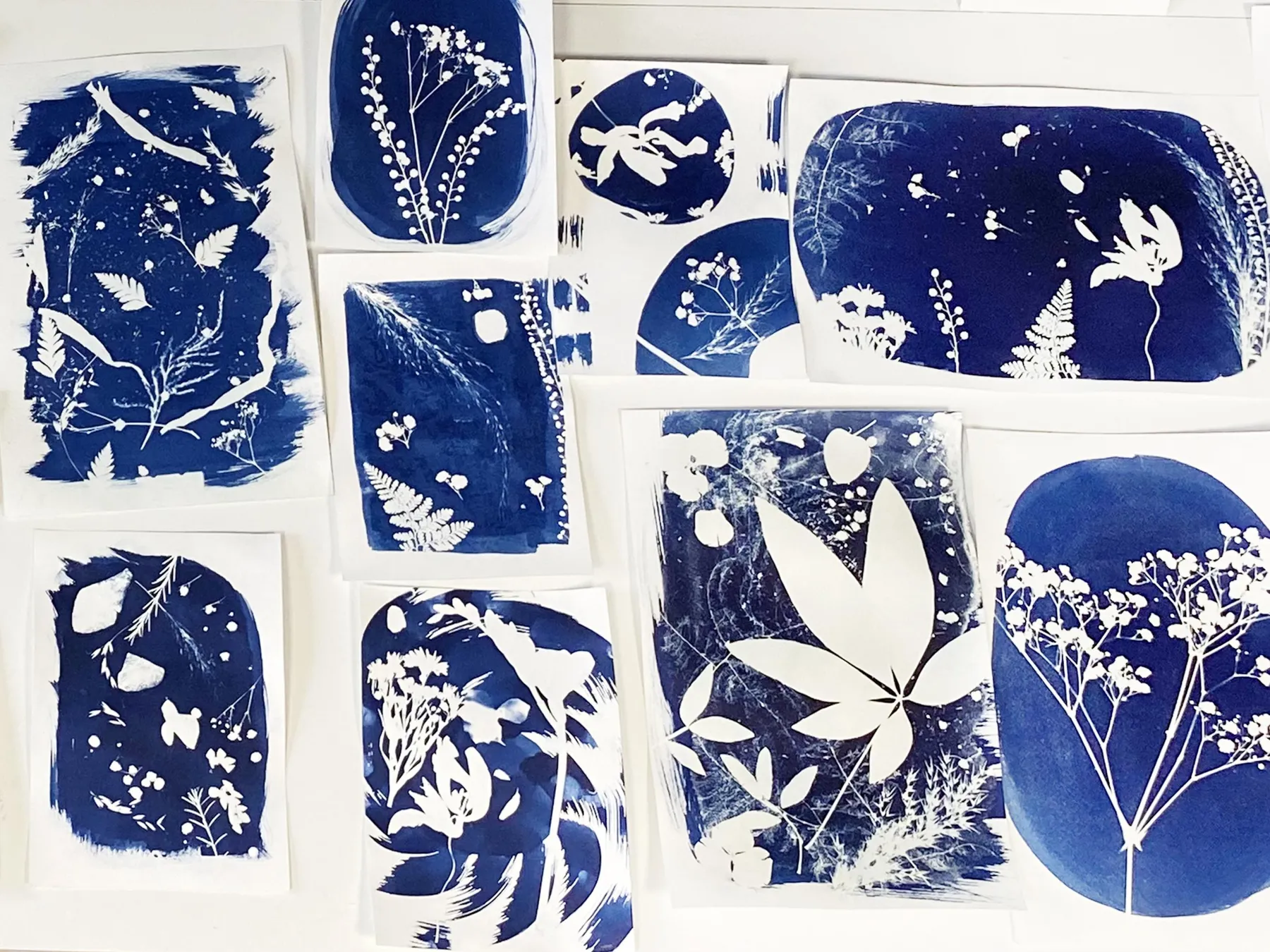 Initiez-vous à l'impression cyanotype - Image n°1 - Wecandoo