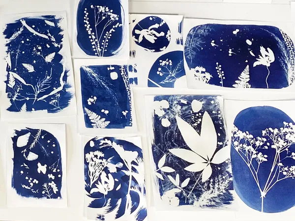 Initiez-vous à l'impression cyanotype - Image n°1 - Wecandoo