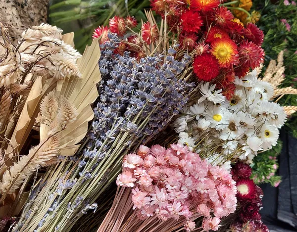 Réalisez votre couronne murale en fleurs séchées avec Stéphanie - Image n°2 - Wecandoo