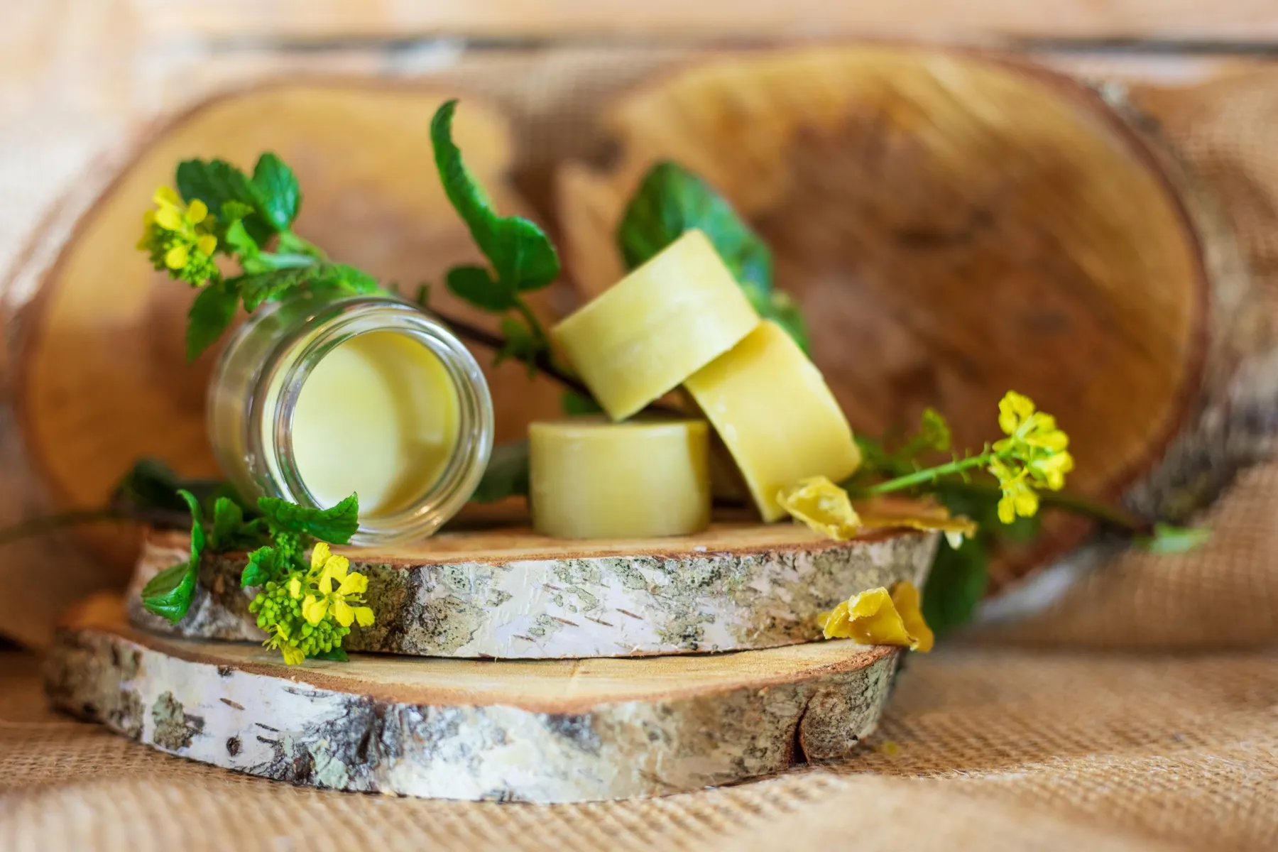 Réalisez un macérat huileux et un baume cosmétique avec Marie - Image n°1 - Wecandoo