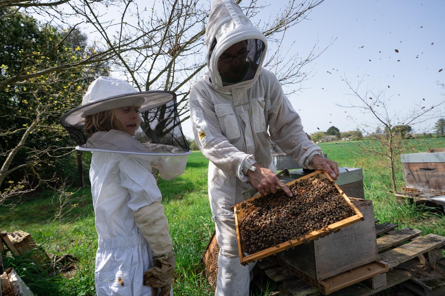 Wecandoo - Initiez-vous à l'apiculture avec Joshua - Image n°2