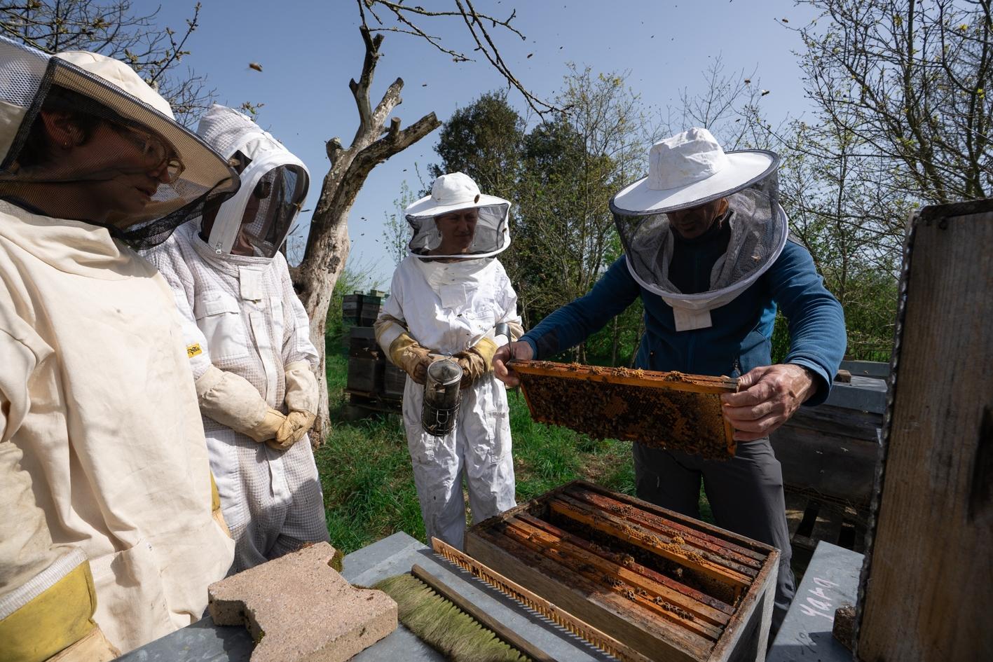 Wecandoo - Initiez-vous à l'apiculture avec Joshua - Image n°5