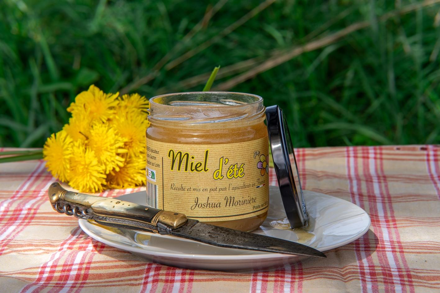 Initiez-vous à l'apiculture