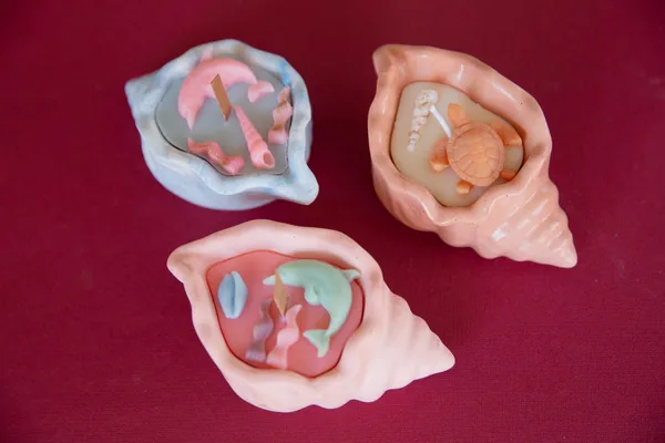 Réalisez votre bougie coquillage en jesmonite avec Laura - Image n°5 - Wecandoo