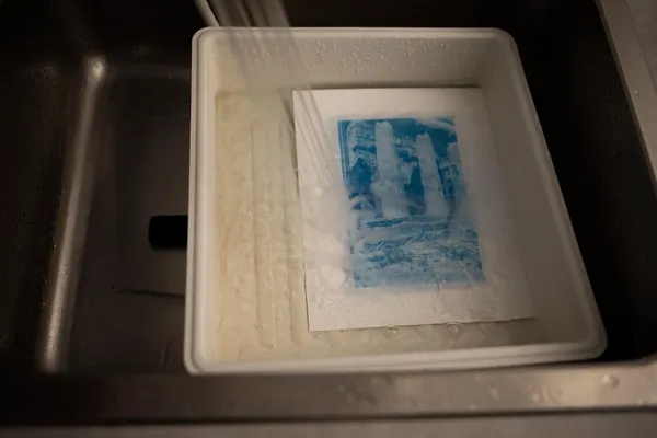 Tirez vos photographies en cyanotype avec Hervé - Image n°3 - Wecandoo